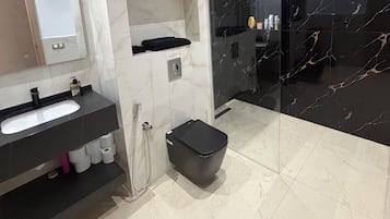Regadera, toallas, papel de baño