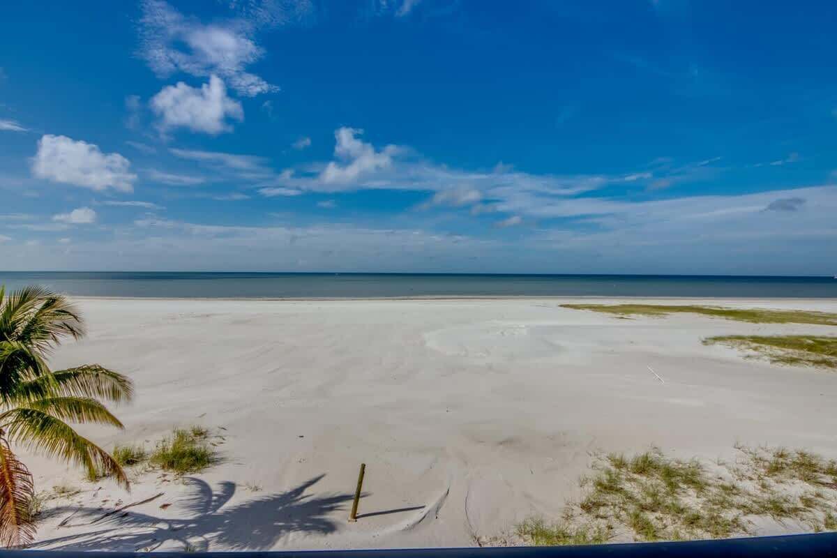 Une plage de sable blanc, un palmier et un ciel bleu azur.