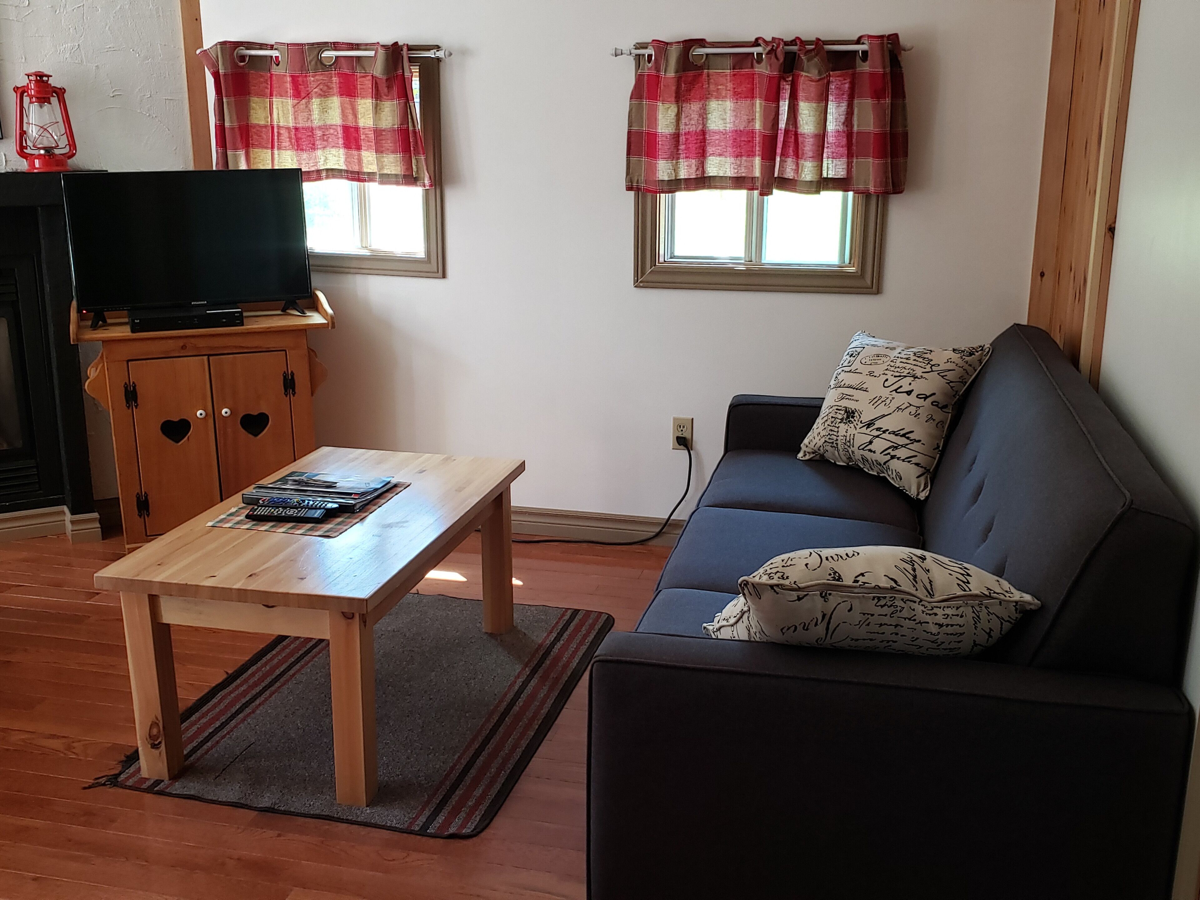 TV, fireplace, DVD player, books