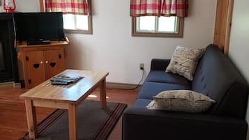 TV, fireplace, DVD player, books