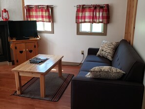 Televisión, chimenea, reproductor de DVD y libros