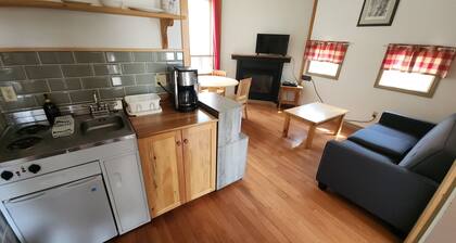 Cozy stay at Haliburton Forest. Trails, Wolf Centre, Canopy Tour, 100 lakes!