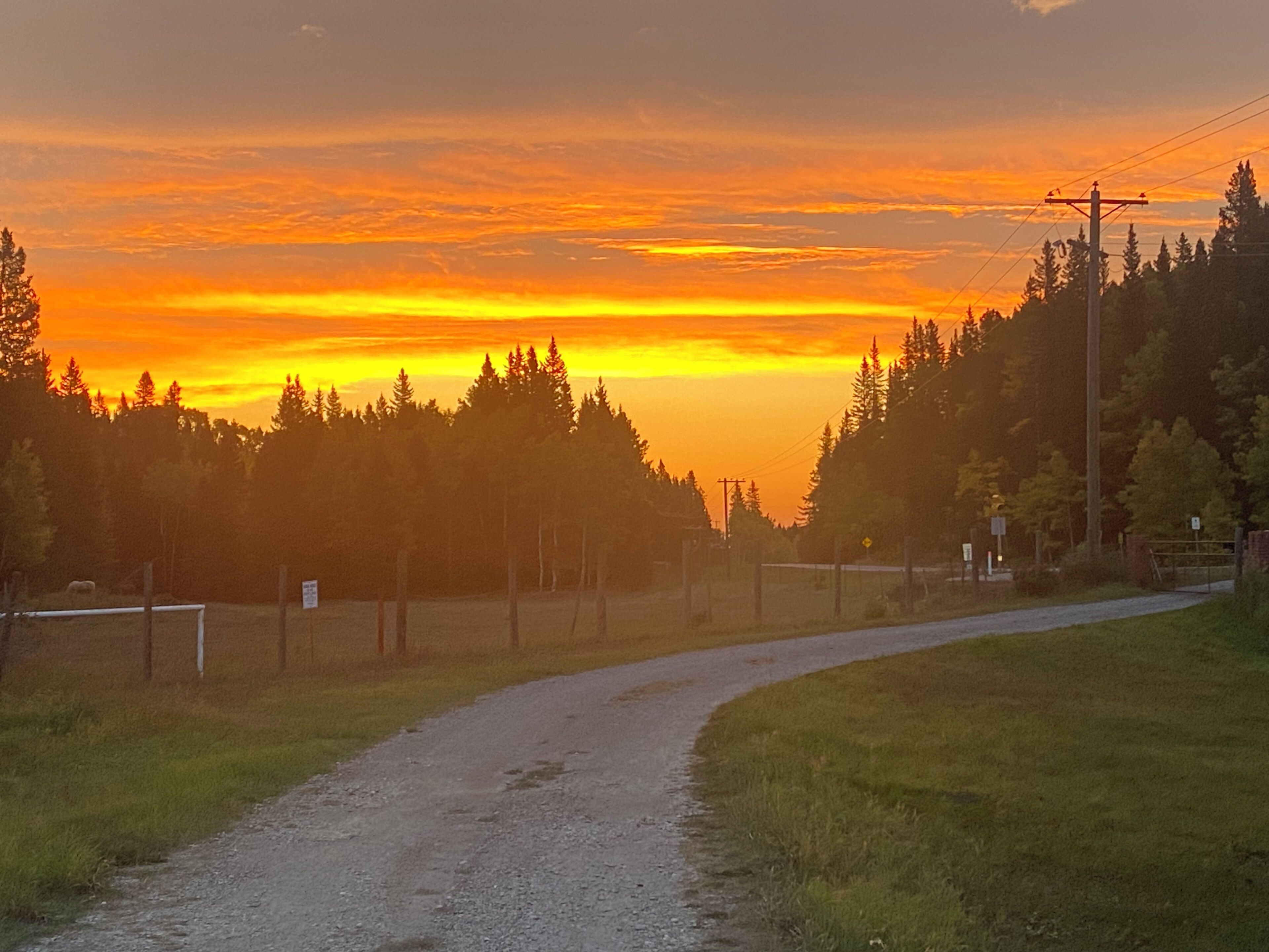 Une route de campagne qui serpente à travers une forêt, avec un coucher de soleil en arrière-plan.