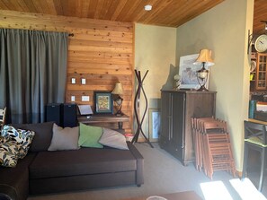 TV, fireplace, books, music library