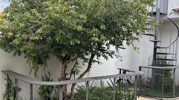 Área externa cercada com uma árvore, um banco de metal e uma escadaria.