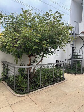 Área externa cercada com uma árvore, um banco de metal e uma escadaria.