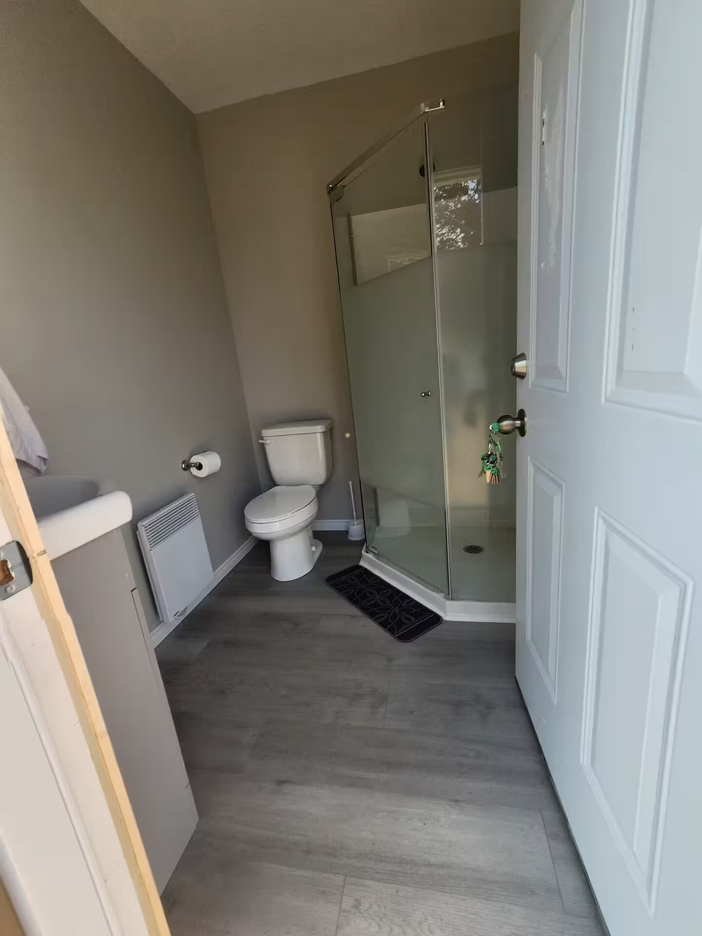Shower, hair dryer