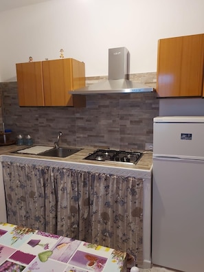 Frigorífico, microondas, horno y placa de cocina