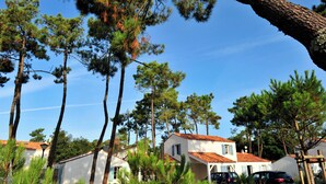 A residential area with multiple houses, a clear blue sky, and a pine tree in the foreground.