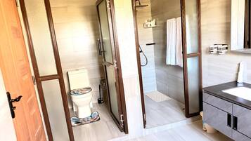 A modern bathroom with a glass shower enclosure, a toilet, and a vanity with a mirror.
