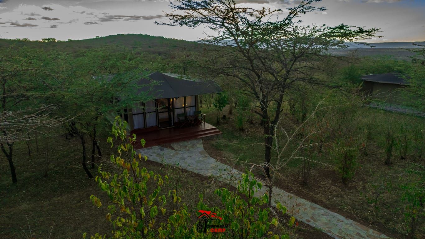 Vista des de l'habitació