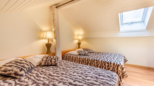 A room with two beds, each with a patterned bedspread, a window, and a skylight. - Les Balcons de St So Apartment C – 8 Guests, Ski-In/Ski-Out, Mountain View, 3 Bedrooms (Saint-Sorlin-d'Arves)