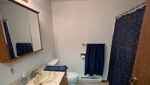 Et lille badeværelse med en trævask, toilet, brusekabine og et spejl.