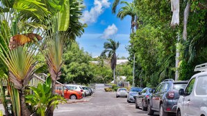 Una calle bordeada por coches aparcados y exuberante vegetación tropical.
