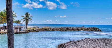 Una playa con una estructura de techo de paja, palmeras y un rompeolas rocoso.