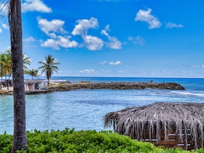 A beach with a thatched-roof structure, palm trees, and a rocky breakwater.