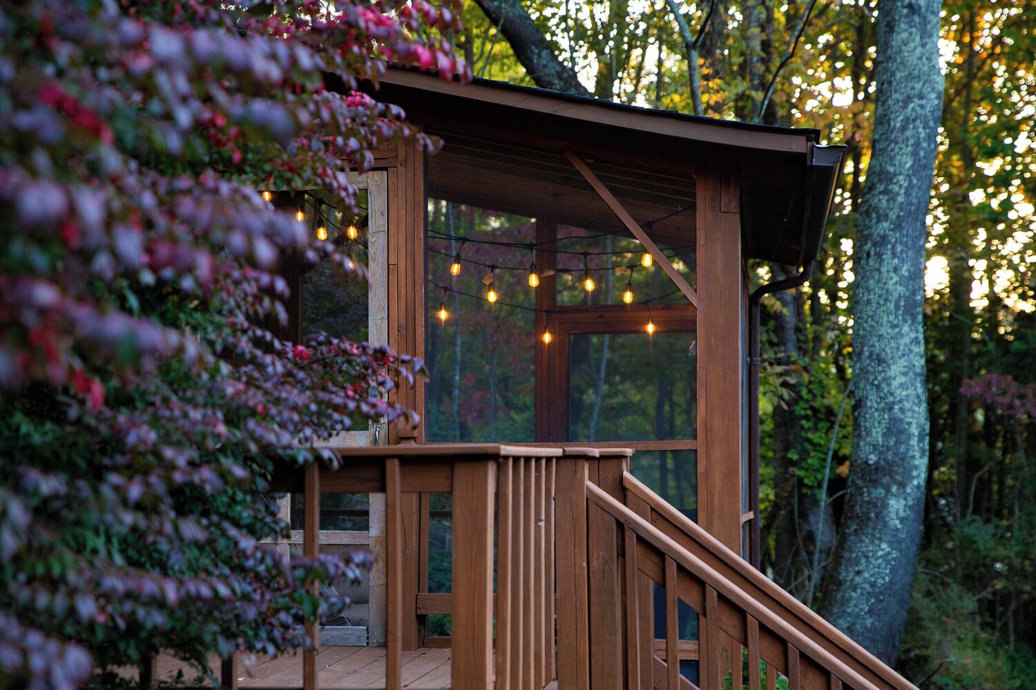 Cabin, Garden View | Property grounds