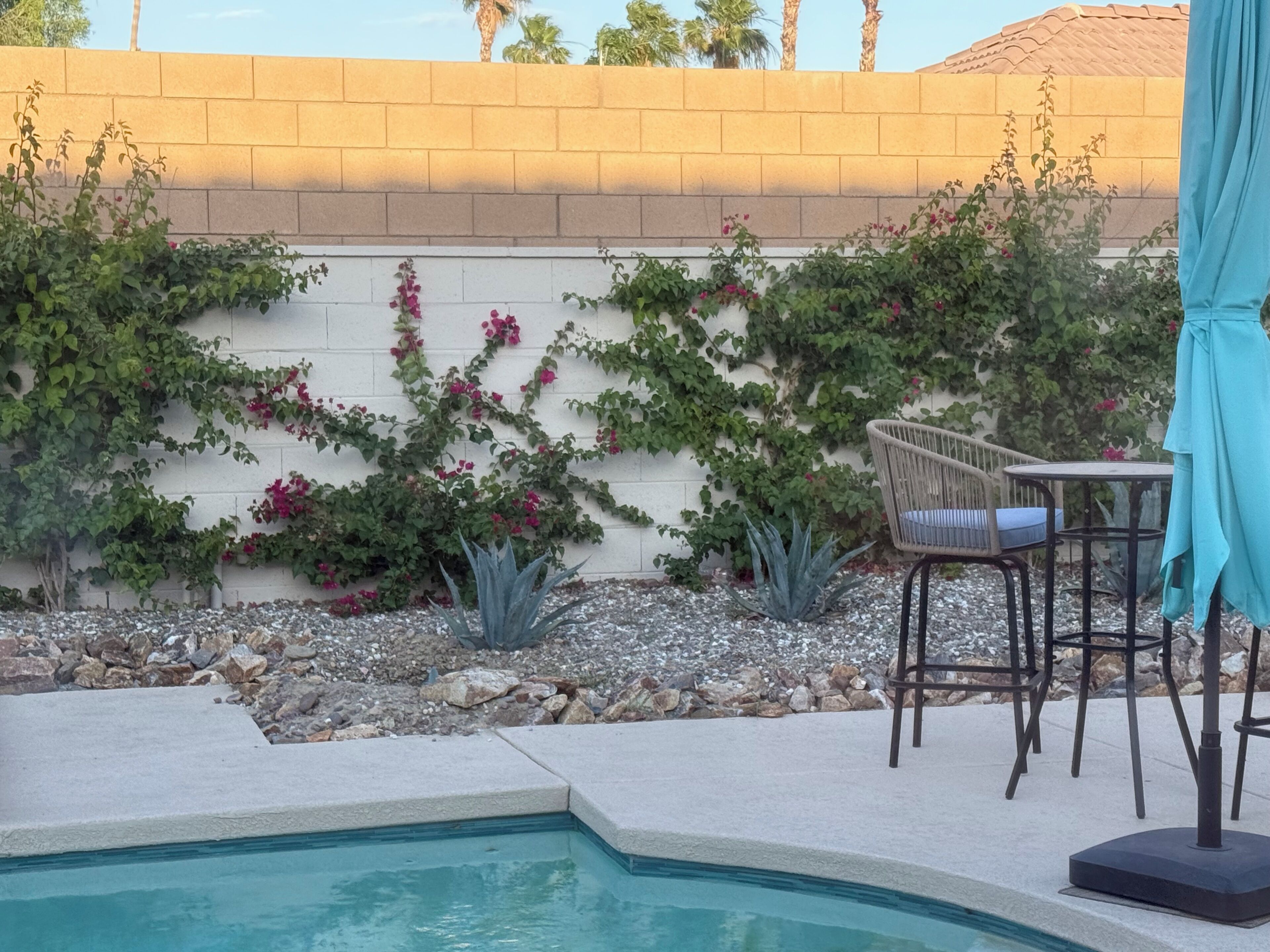 Ein Poolbereich mit eingelassenem Pool, einer weißen Wand mit Kletterpflanzen und Gartenmöbeln.