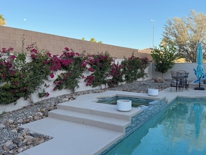 A swimming pool with steps leading into it, surrounded by a wall with flowering plants. - POOL home newly remodeled with office in beautiful La Quinta (La Quinta)
