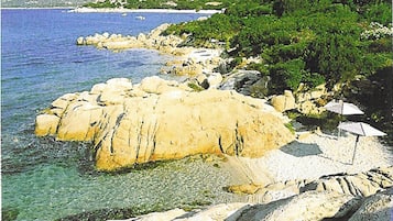 Eine Küstenlandschaft mit Felsformationen, klarem Wasser und viel Grün.