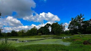 A park with two benches, a pond, and a clear sky with clouds. - The Ruby Ranch House nestled behind Peyton Lake (Indianapolis)