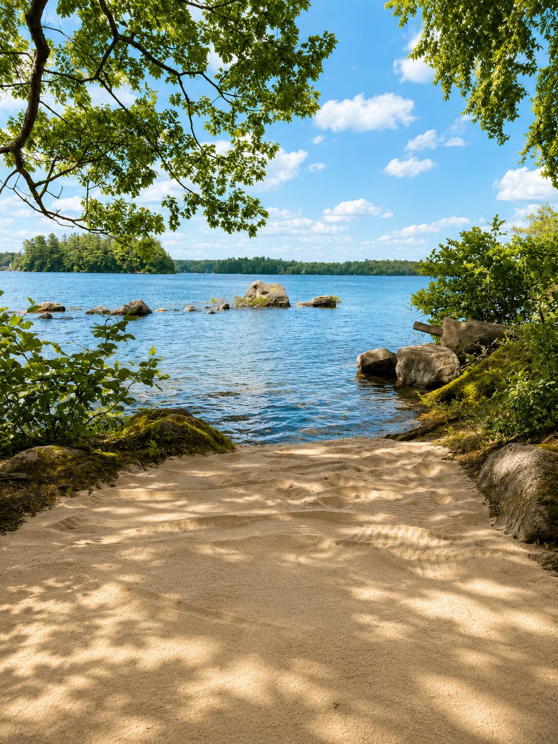 Un sendero arenoso que conduce a un lago, con rocas y follaje a ambos lados.