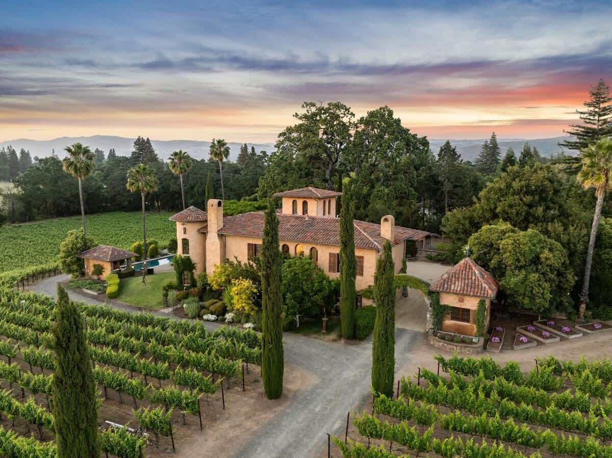 A large estate with a central building surrounded by vineyard rows, a small guesthouse, and a well-maintained garden.