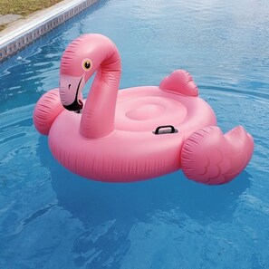 A pink inflatable flamingo float in a swimming pool. - Hudson River views with pool and hot tub (Kingston)