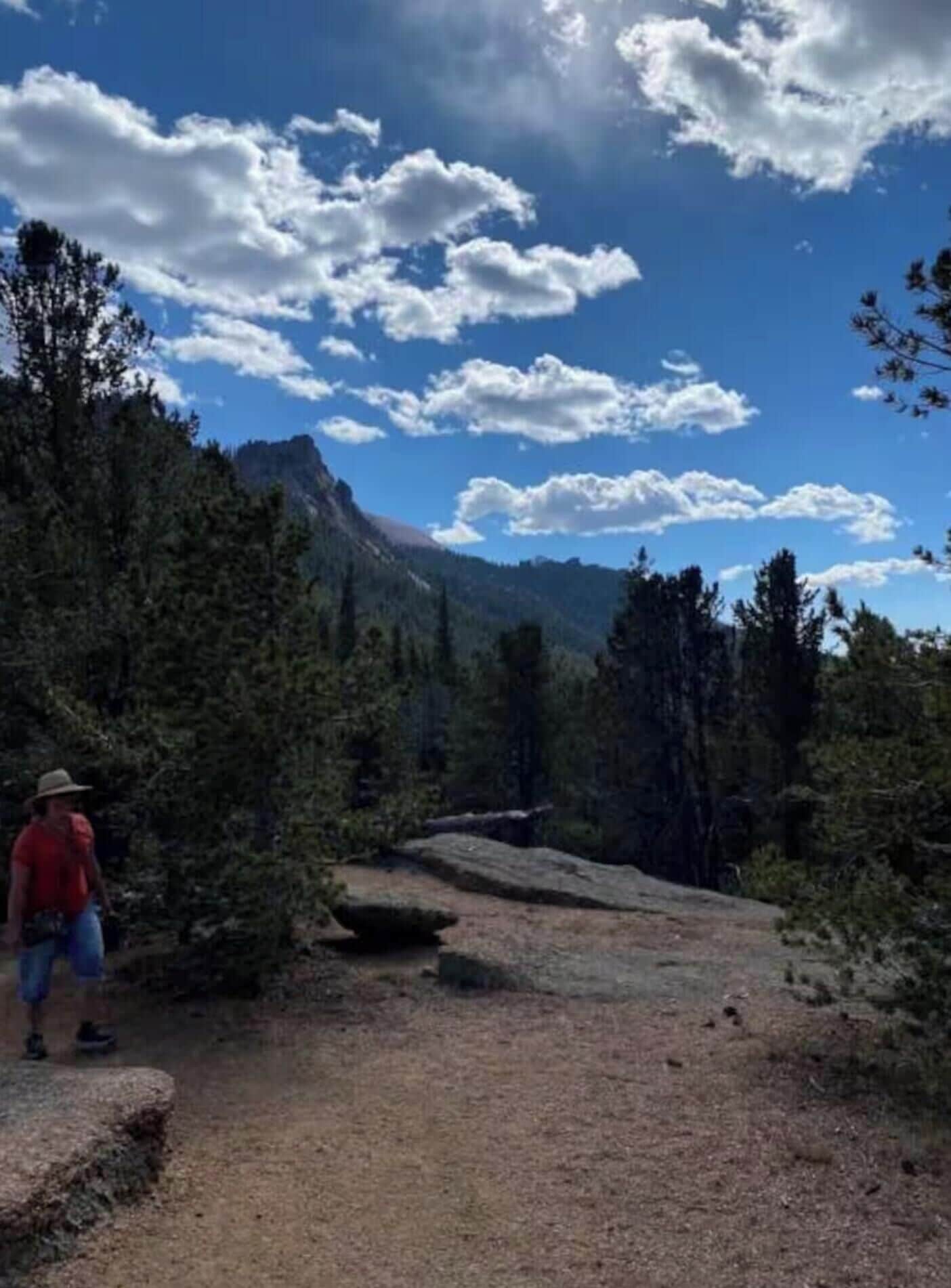 Un sentier de montagne bordé d’arbres, sous un ciel dégagé, où l’on aperçoit une personne qui marche.