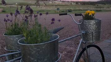 A bicycle with two metal flower pots attached to the front, parked on a gravel surface.