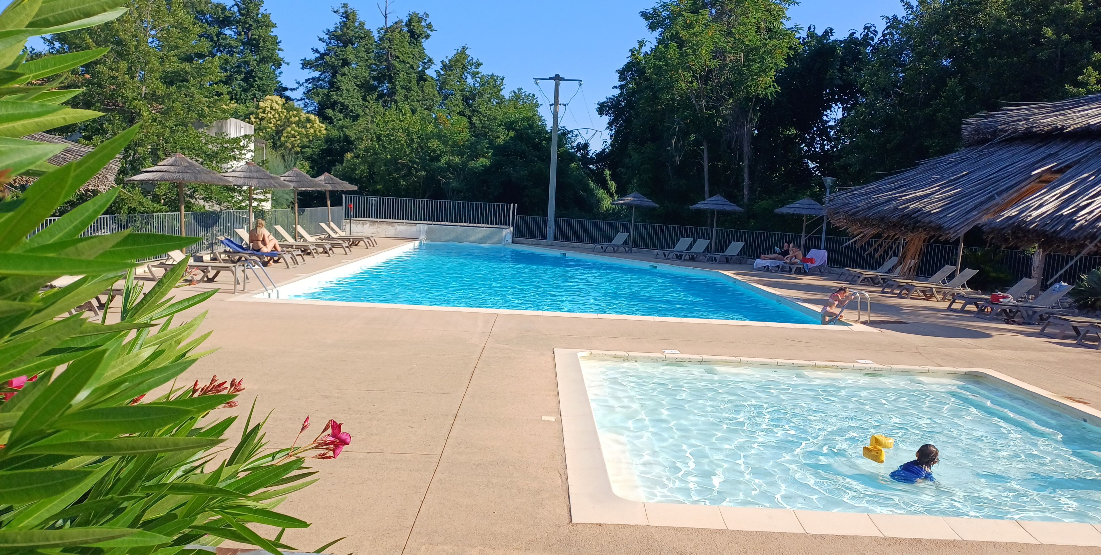 A swimming pool with lounge chairs and umbrellas, surrounded by trees.