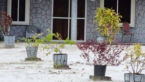 A building with a stone facade, multiple windows, and potted plants in front. - Welcome to our app, "Unexpected" (onverwacht)