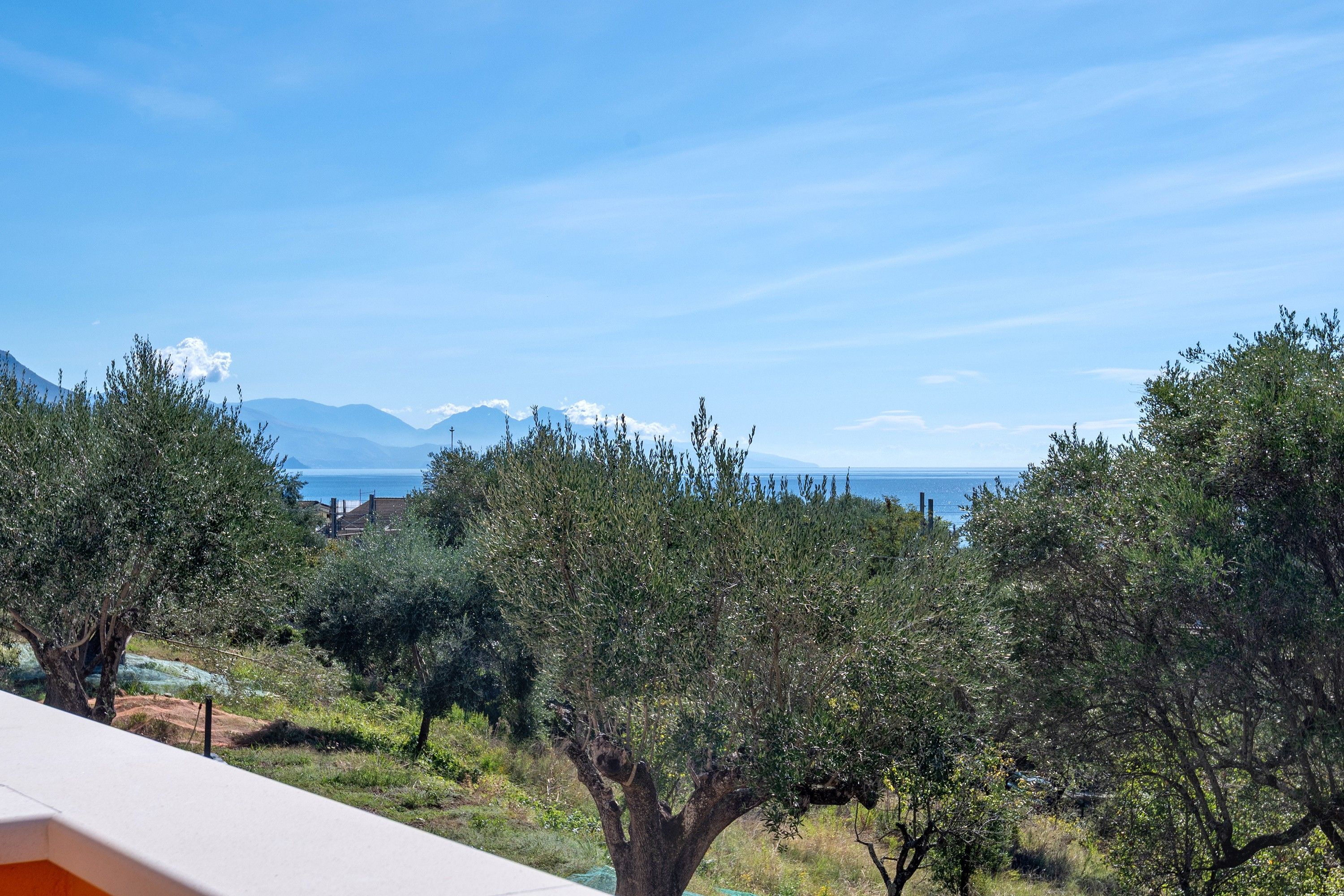 A view of a coastal landscape with trees and a mountain range in the distance.