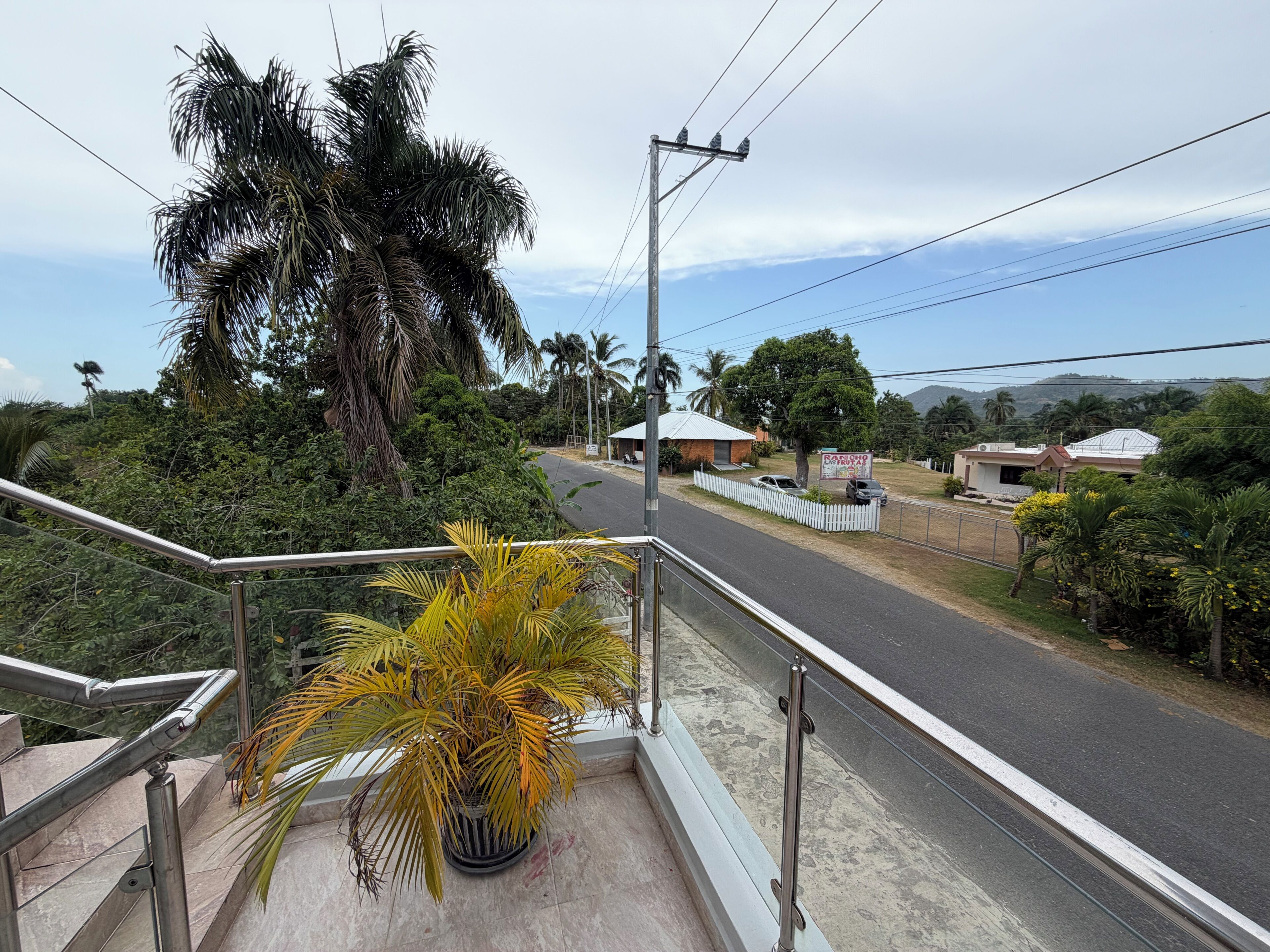 A residential area with a road, a white fence, and a large tree.