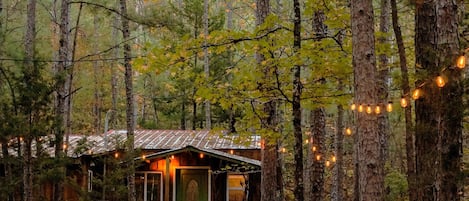 A rustic cabin surrounded by tall trees with a dirt path leading to it.