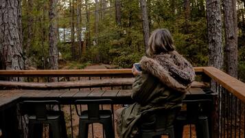 Une personne est assise sur un banc, d’où elle a une vue sur une zone boisée, avec une terrasse en bois et des garde-corps.