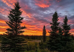 Miscellaneous - Denali Park Hotel King (Healy)