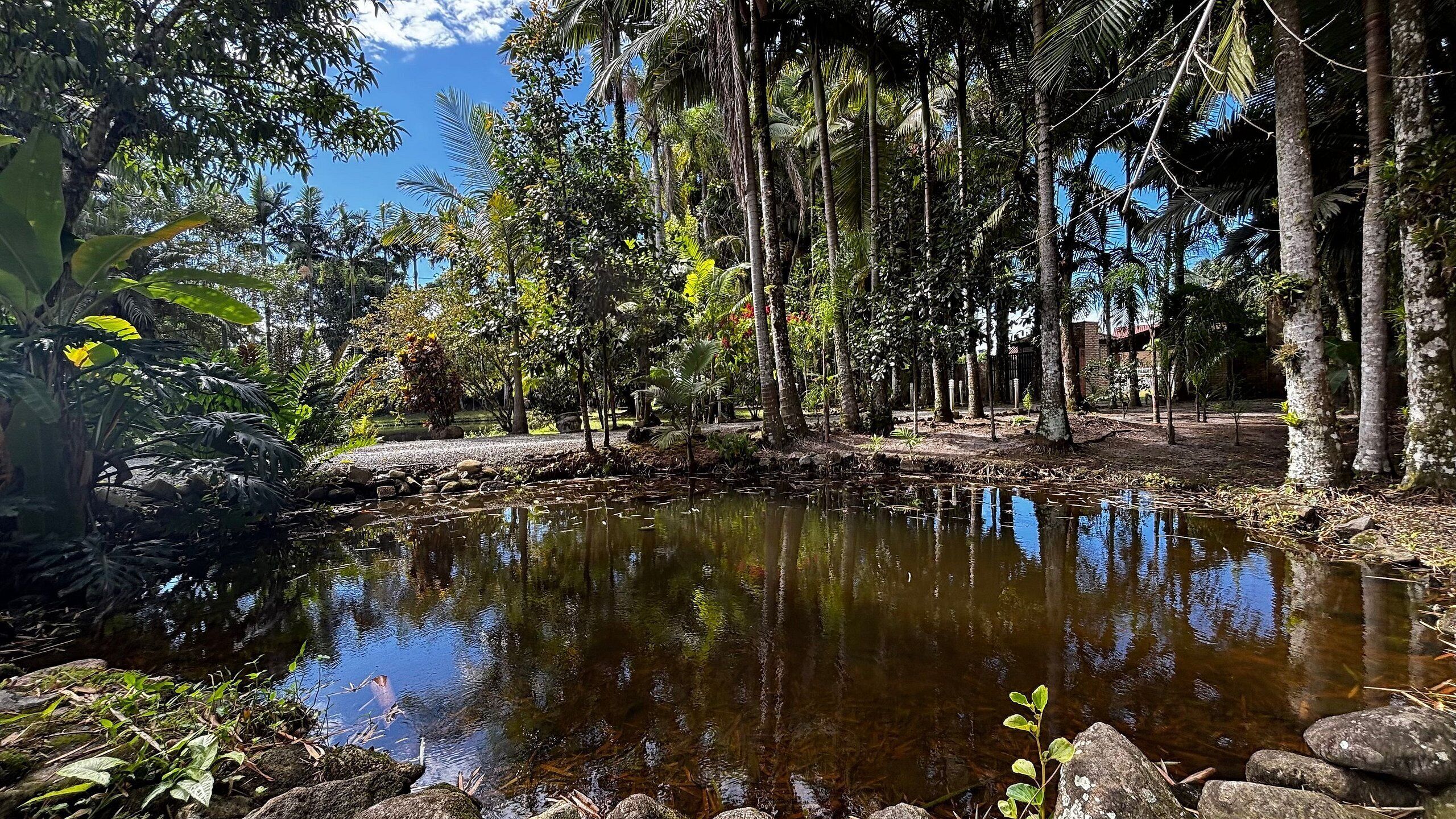 Kawasan hartanah
