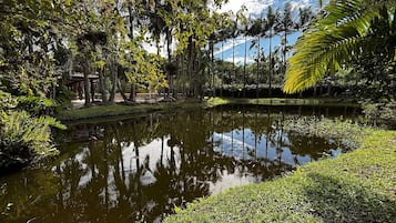 Jardines del alojamiento