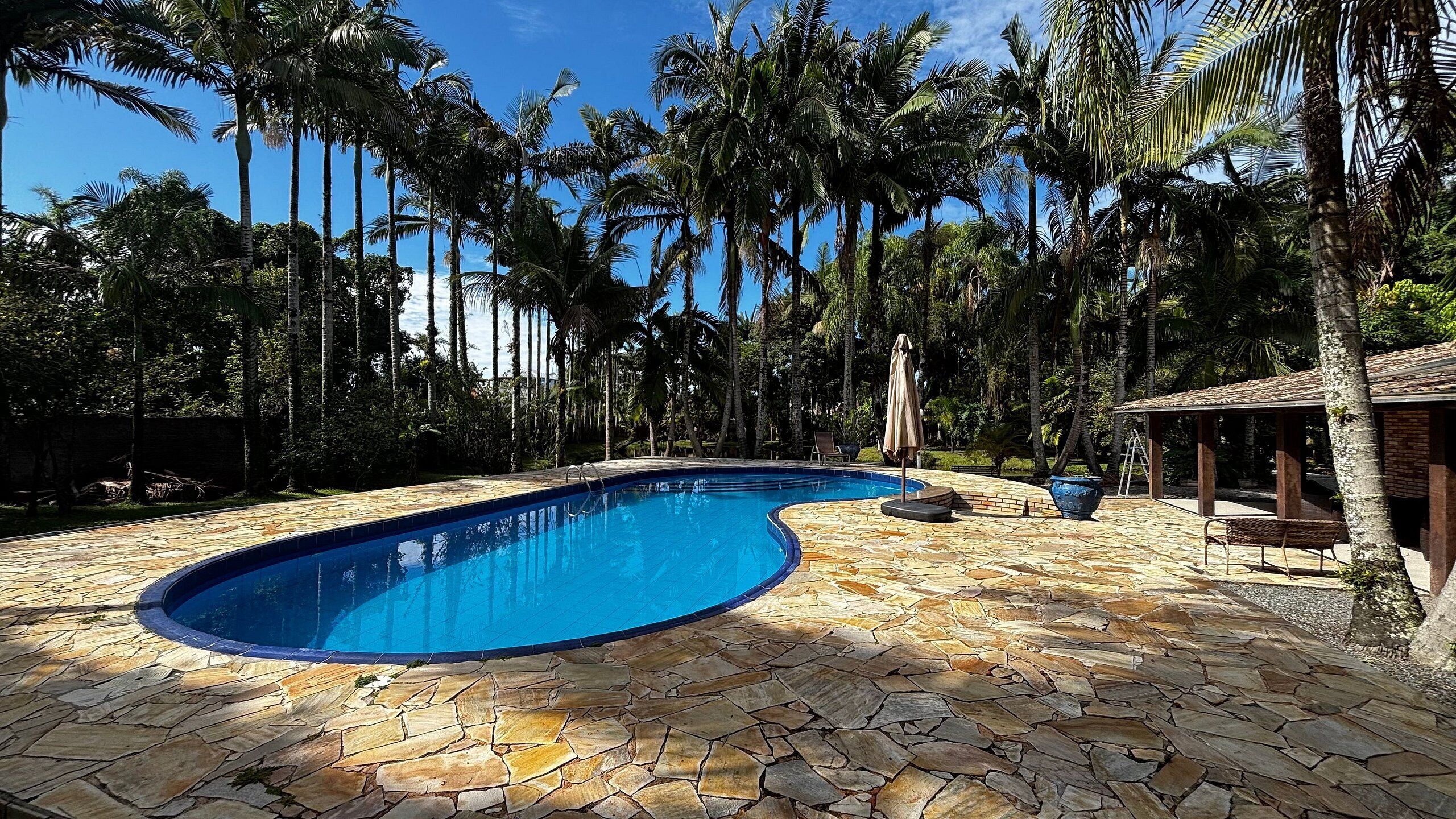 Una piscina con cubierta de piedra, rodeada de palmeras y una estructura de madera.