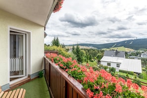 Ein Balkon mit Holzgeländer, ein Fenster mit Blick auf eine grüne Landschaft und Gebäude sowie eine Tür.