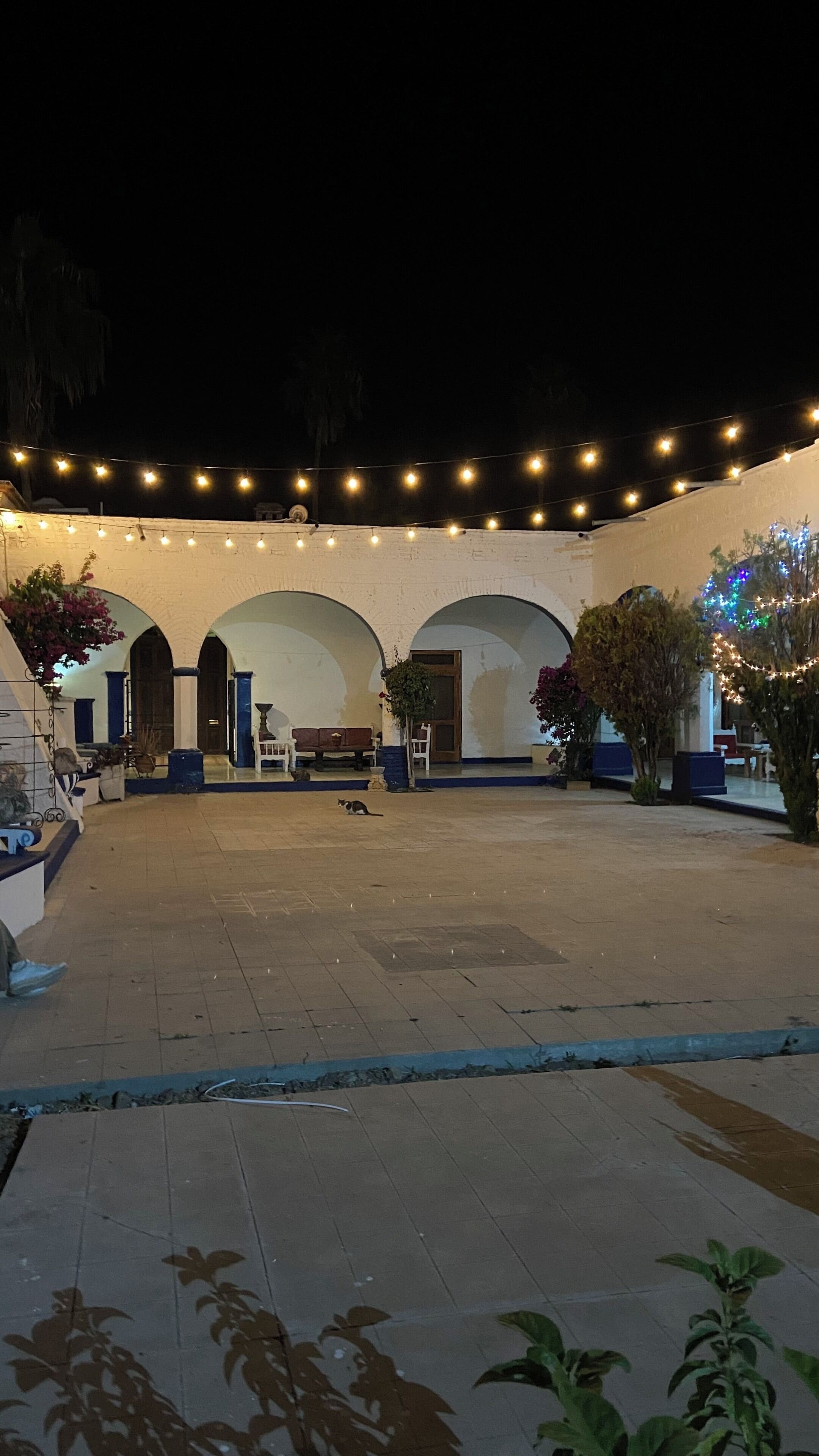Terraza o patio