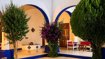 A courtyard with a tiled floor, a white building with blue accents, and a large tree.