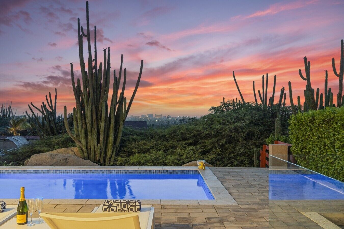 Zona de piscina con vista al atardecer, rodeada de cactus y follaje.