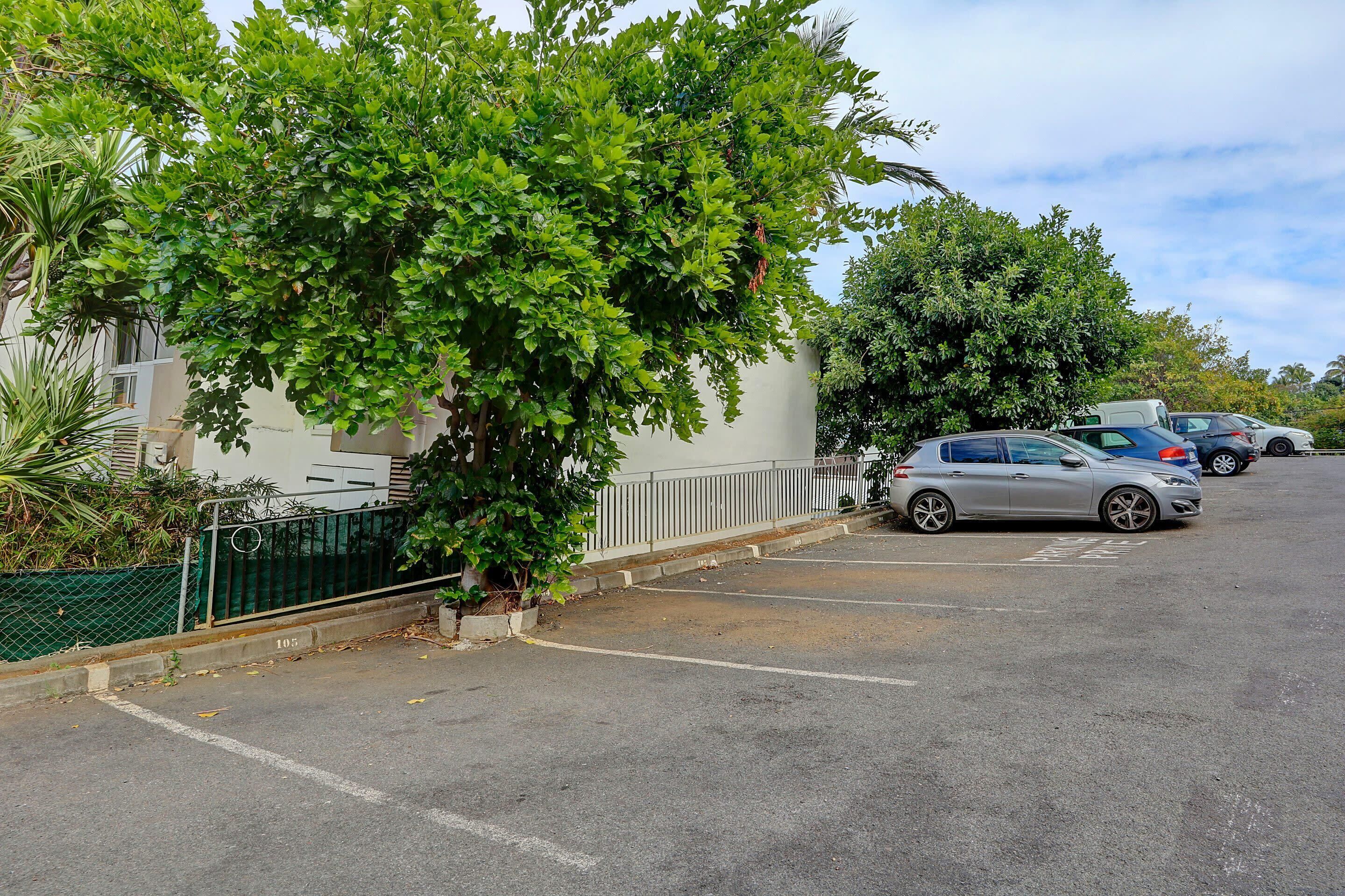 Ein Parkplatz mit Autos, einem Baum und einem Gebäude mit weißer Fassade und grüner Umzäunung.