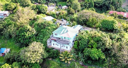 Matthew s Miracle View