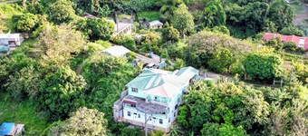 Matthew s Miracle View