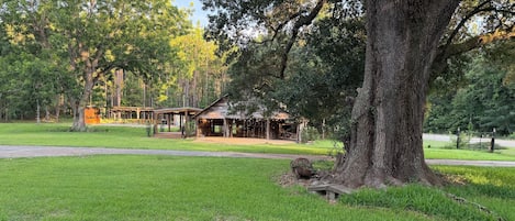 Un chalet rustique doté d’un porche, entouré d’une pelouse bien entretenue et d’arbres.