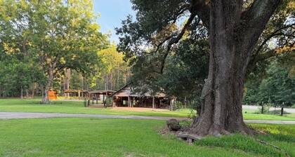 Adorable 2-bedroom cabin in the CONECUH National Forest for your getaway