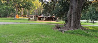Adorable 2-bedroom cabin in the CONECUH National Forest for your getaway